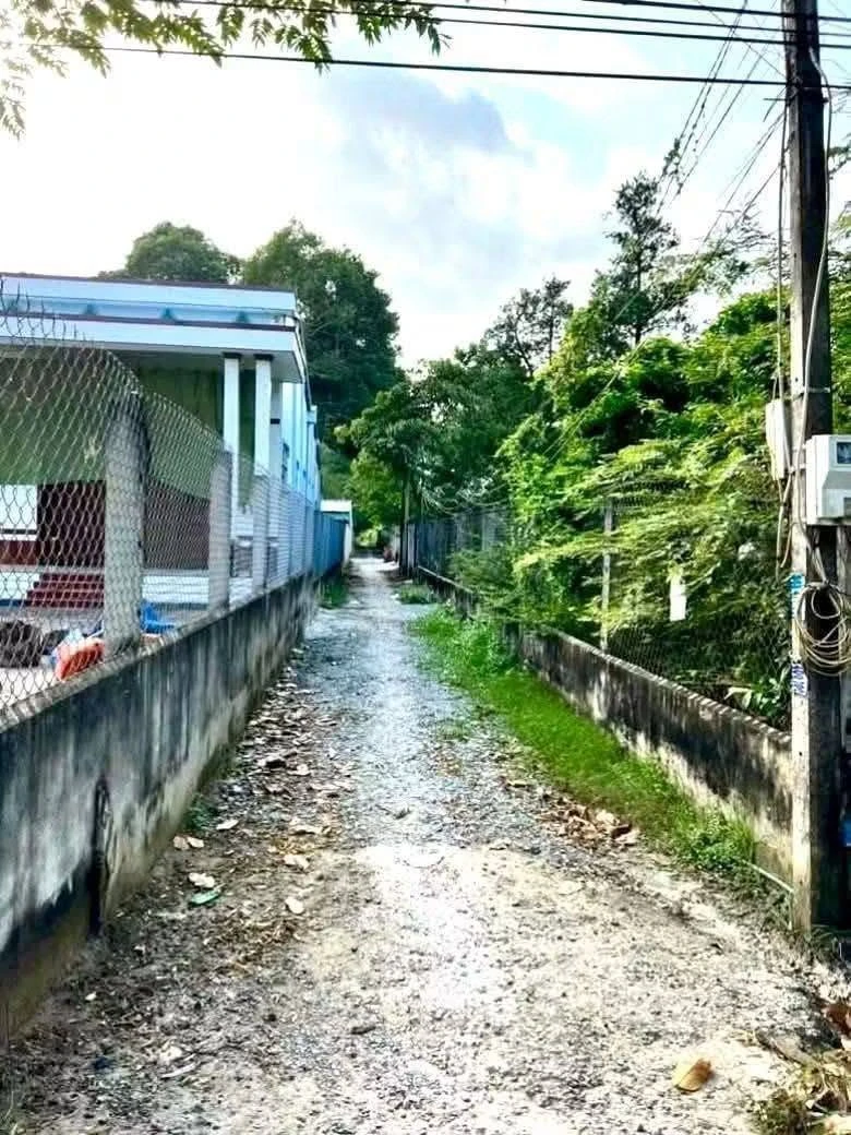 Bán nền đất hẻm ôtô 136,5 m² Trà Vinh 280 triệu - Ảnh 1