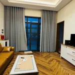 Bán nhà vườn mặt tiền Nguyễn Công Hoàn 3015m2 Đất Đỏ - Ảnh thu nhỏ 5