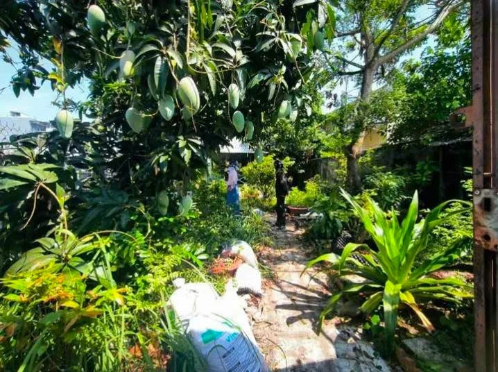 Bán đất hẻm 211 m² Nguyễn Trung Trực, Rạch Giá - Ảnh thu nhỏ 5