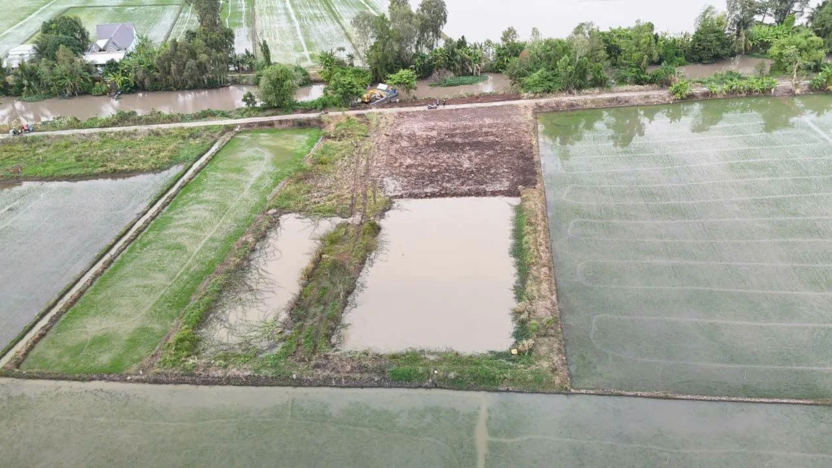Bán đất nền mặt tiền Mai Thành Tâm, Vĩnh Thông, 1.000m² - Ảnh thu nhỏ 4