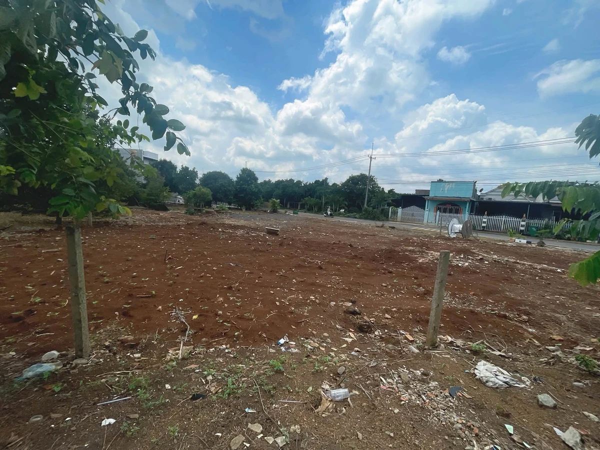 Bán đất nền 5x38m (190m²) mặt tiền 7m, giá 1,6 tỷ Bình Chánh - Ảnh thu nhỏ 4