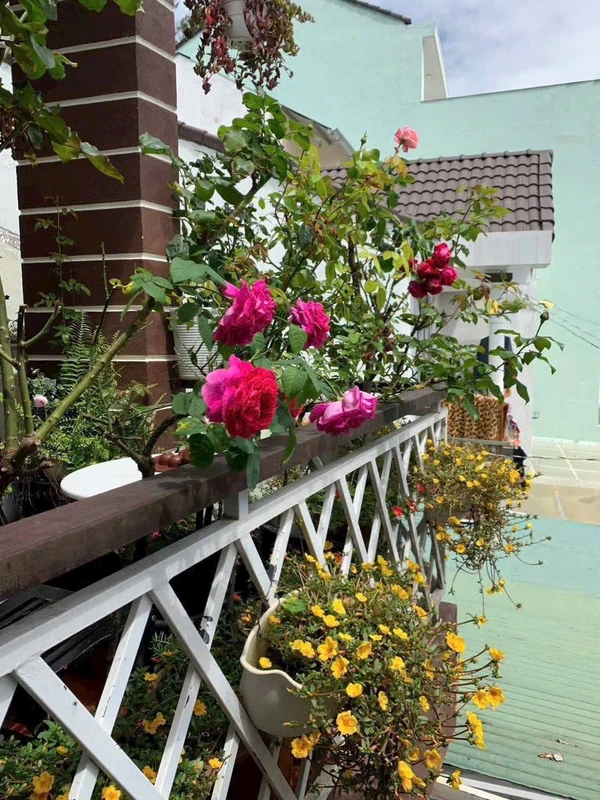 Bán nhà Nguyễn Trung Trực, Đà Lạt, 91m², 3PN, 5,5 tỷ