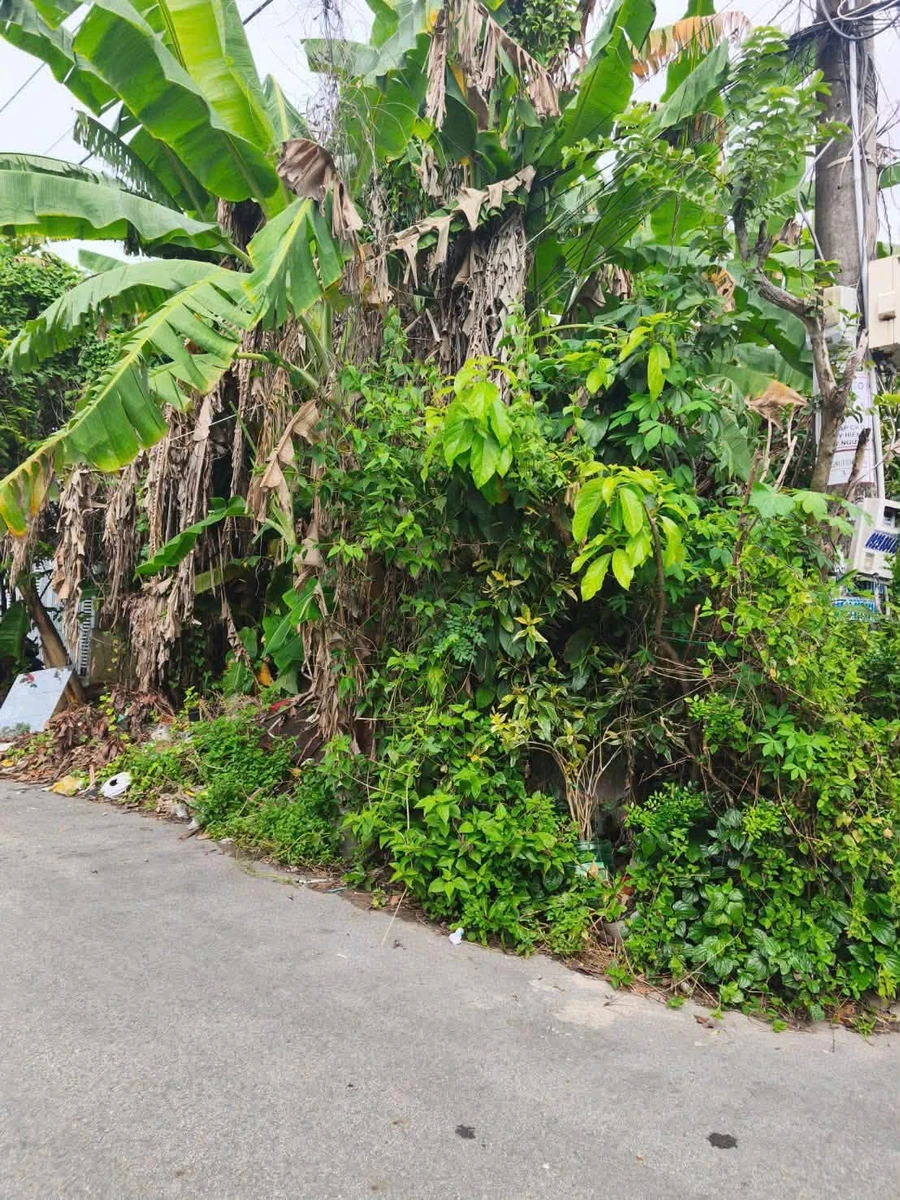 Bán đất mặt tiền La Sơn Phu Tử 95m² Rạch Giá 1 tỷ 299 triệu - Ảnh 1