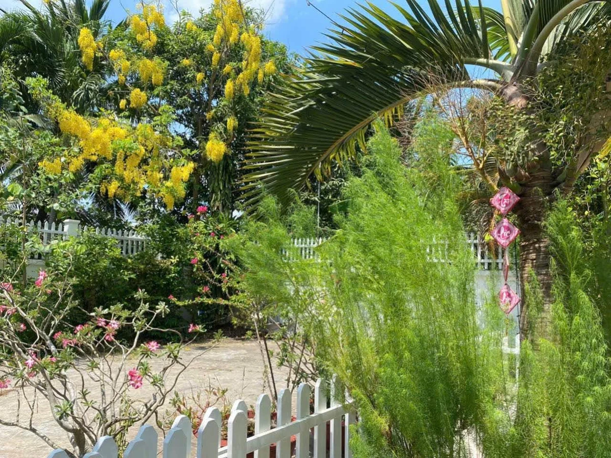 Bán biệt thự vườn 999m² Mỹ Tho, giảm còn 5.9 tỷ - Ảnh thu nhỏ 5