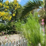 Bán biệt thự vườn 999m² Mỹ Tho, giảm còn 5.9 tỷ - Ảnh thu nhỏ 5