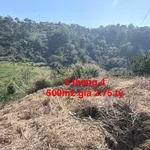 Bán lô đất 500m2 view rừng thông Đà Lạt - Ảnh thu nhỏ 1