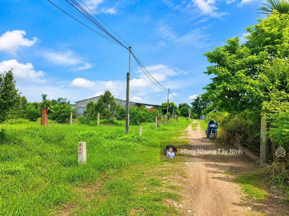 420tr, 6x40m thổ cư gần KCN Phước Đông - Ảnh thu nhỏ 4