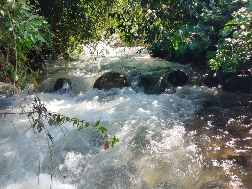 Bán đất 2.700m2 Đạm Ri, Lâm Đồng giá 4.69 tỷ - Ảnh 1