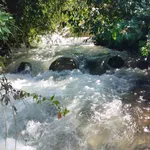 Bán đất 2.700m2 Đạm Ri, Lâm Đồng giá 4.69 tỷ - Ảnh thu nhỏ 1
