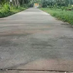 Bán 1090m2 đất vườn dừa đang cho trái tại Xã Tân Thanh, Giồng Trôm, Bến Tre - Ảnh thu nhỏ 1
