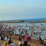Bán đất mặt tiền đường Bùi Thị Xuân, phường Phú Đông, 100m2 thổ cư, giá 1,9 tỷ - Ảnh thu nhỏ 2
