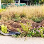 Bán đất thổ cư 350m2 lô góc 2 mặt tiền giá 990 triệu tại Bình Trinh Đông, Tân Trụ, Long An - Ảnh thu nhỏ 3