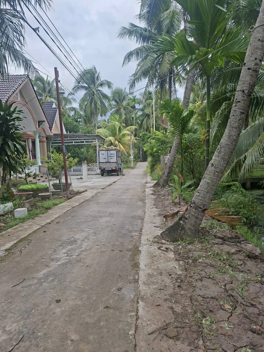 Bán đất gần 2,4c tại Châu Bình, Giồng Trôm, Bến Tre - Ảnh 1