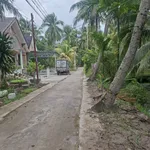 Bán đất gần 2,4c tại Châu Bình, Giồng Trôm, Bến Tre - Ảnh thu nhỏ 1