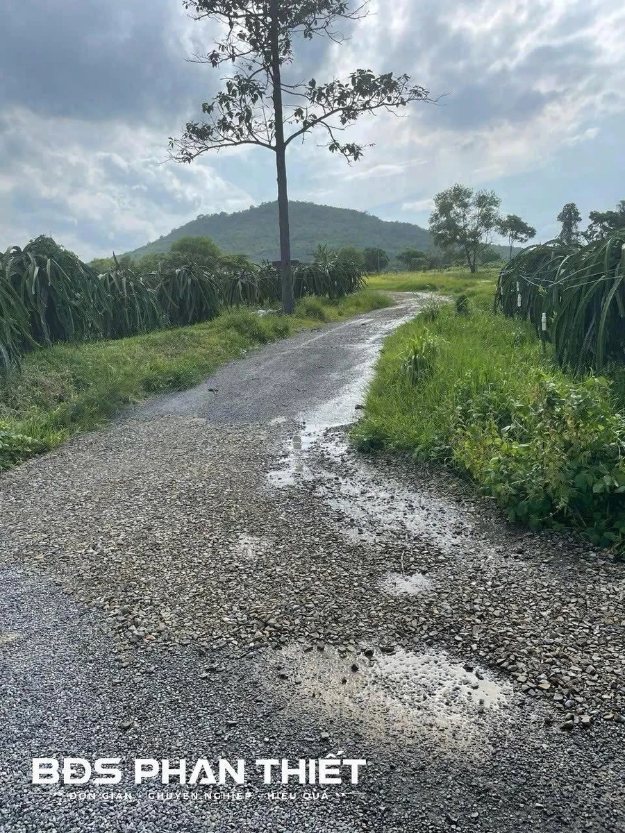 Bán đất vườn 5490 m² tại Phan Thiết, Lâm Đồng - Ảnh thu nhỏ 4