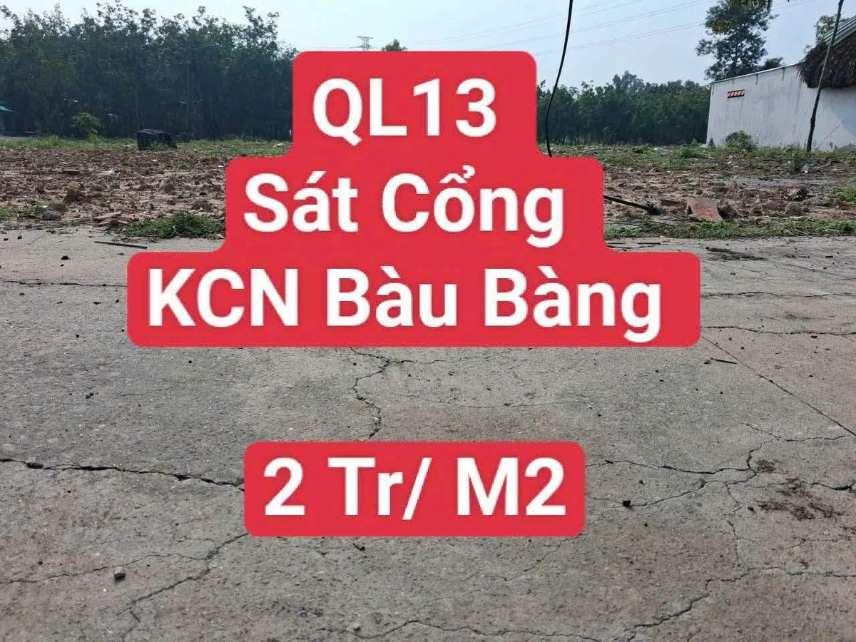 Bán 14.000 m² đất Bàu Bàng Bình Dương, Quốc Lộ 13 - Ảnh 1