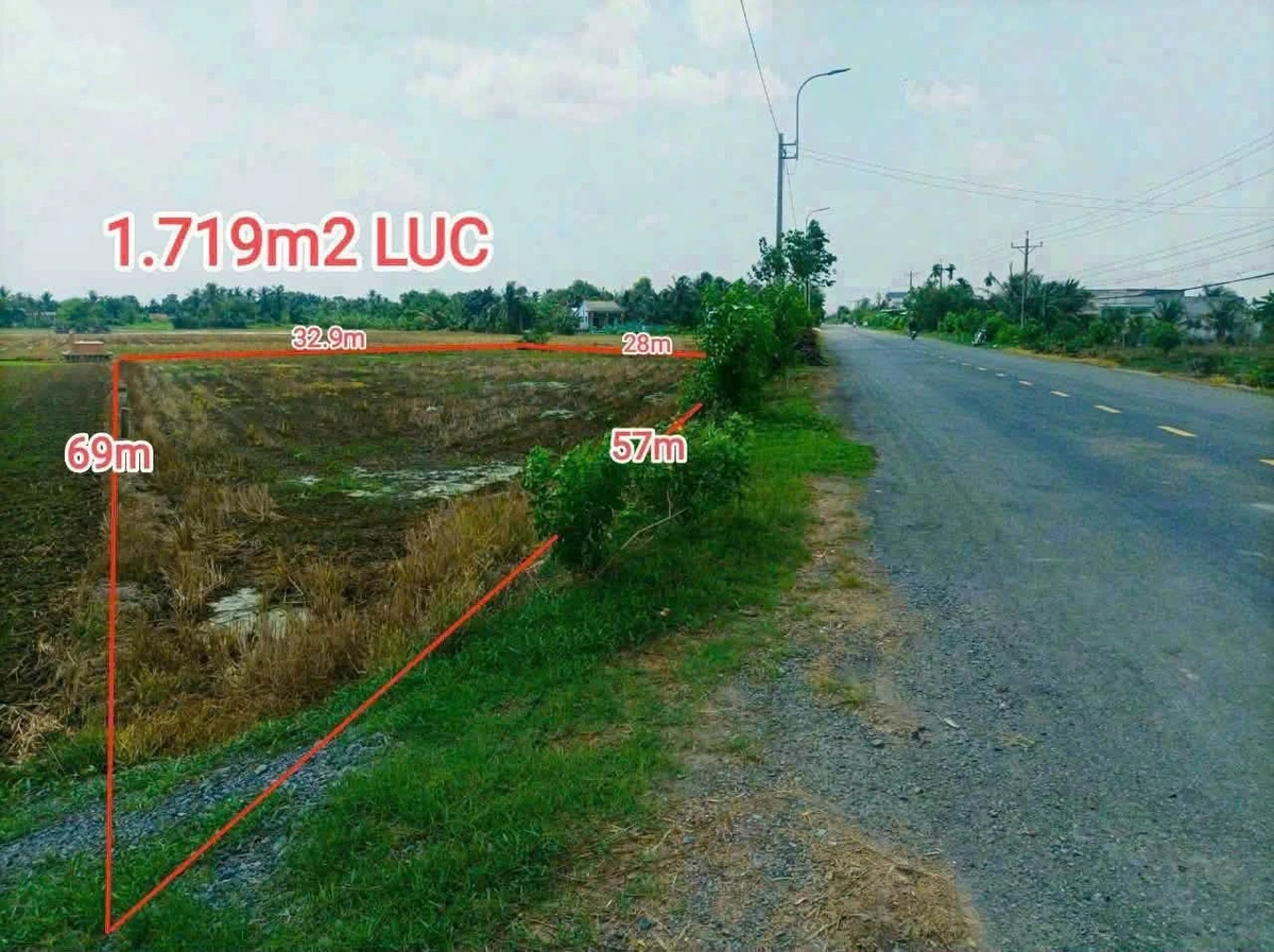 Bán đất nông nghiệp 1719m² mặt tiền 832 Tân Trụ - Ảnh thu nhỏ 3