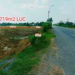 Bán đất nông nghiệp 1719m² mặt tiền 832 Tân Trụ - Ảnh thu nhỏ 3
