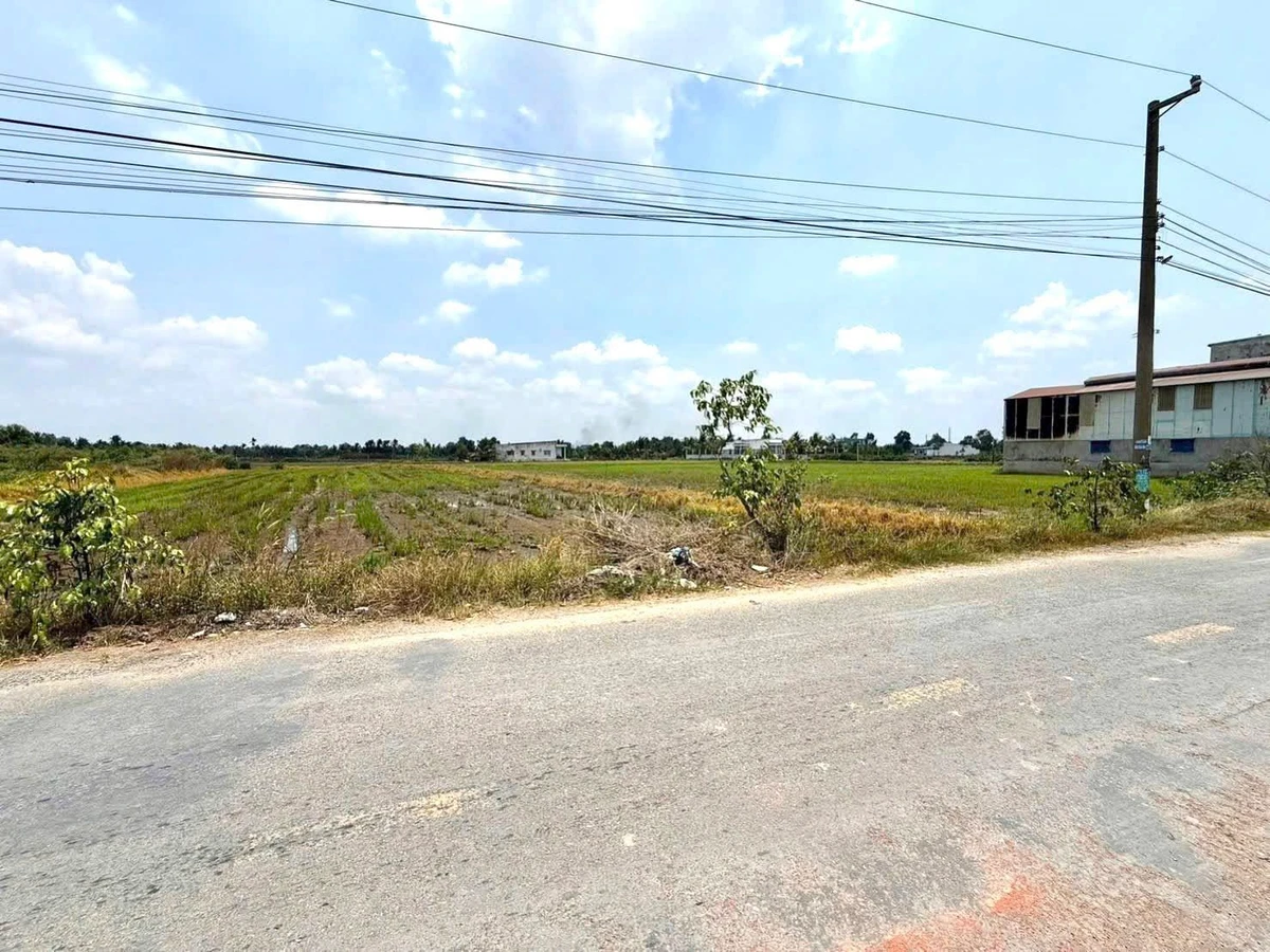 Bán đất Hoà Khánh Đức Hoà 2784 m² mặt tiền đường số 4 - Ảnh thu nhỏ 3