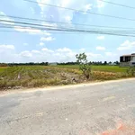 Bán đất Hoà Khánh Đức Hoà 2784 m² mặt tiền đường số 4 - Ảnh thu nhỏ 3