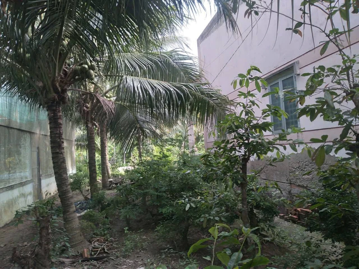 Bán nhà đất Lương Hoà 1.507m² giá 1.5 tỷ - Ảnh thu nhỏ 5