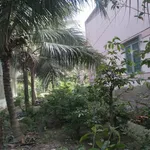 Bán nhà đất Lương Hoà 1.507m² giá 1.5 tỷ - Ảnh thu nhỏ 5