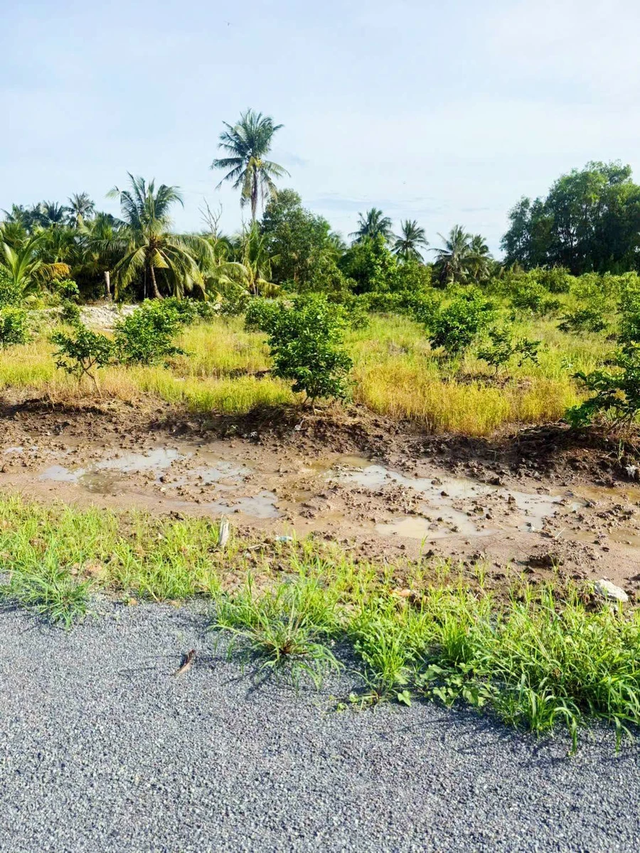 Bán đất thổ cư 500m2 gần ĐT816, sát sông Vàm Cỏ Đông, giá 760 triệu - Ảnh thu nhỏ 4