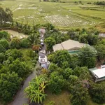 Bán farm 1,6 hecta Ninh Hưng, Ninh Hòa, giá 5,8 tỷ - Ảnh thu nhỏ 1