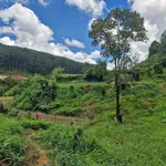 Bán đất vườn An Sơn Đà Lạt 13.000m² giá 11,3 tỷ - Ảnh thu nhỏ 4