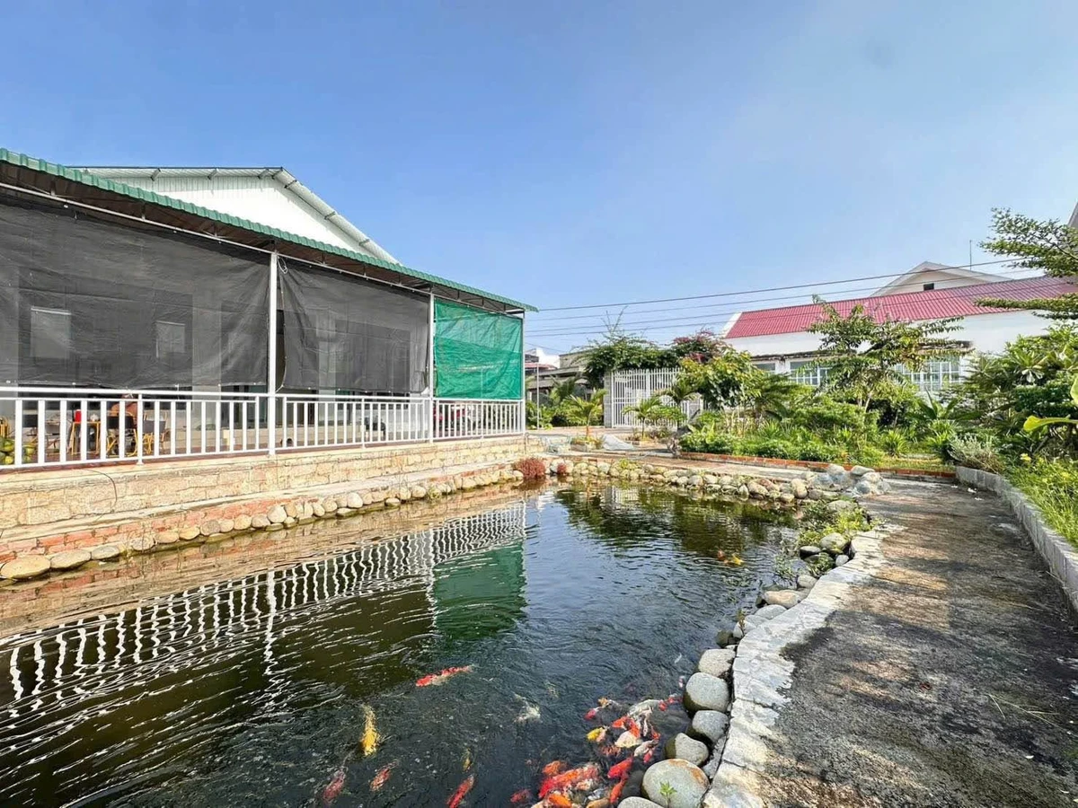 Bán nhà vườn 445m² 2 mặt tiền Phường Bình Thuận - Ảnh thu nhỏ 4
