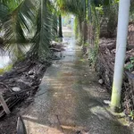 Nền bán Long Hòa 137.5m2 sổ hồng 350 triệu - Ảnh thu nhỏ 1