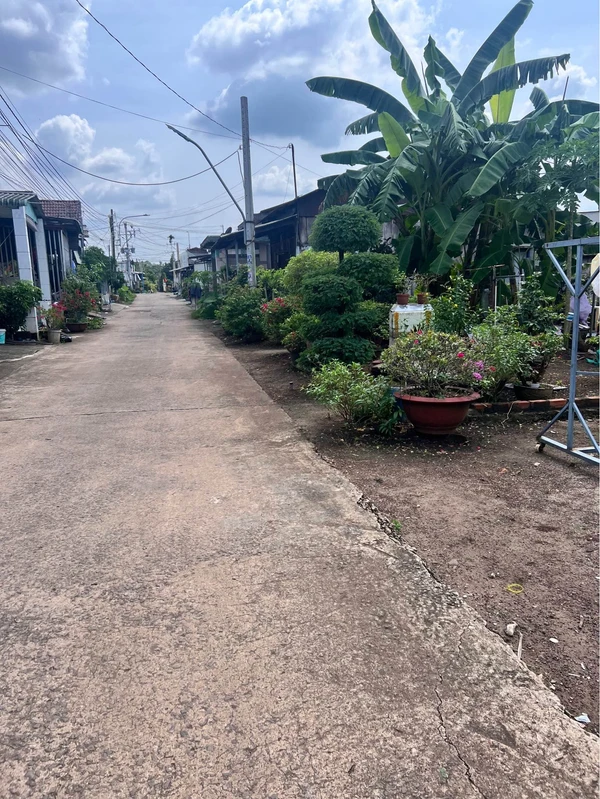 Bán đất nền 5x23m (115m²) giá 990 triệu Long Khánh