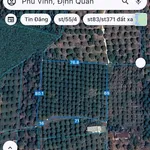 Bán lô đất sầu riêng 5.409 m² Phú Vinh, Đồng Nai - Ảnh thu nhỏ 3