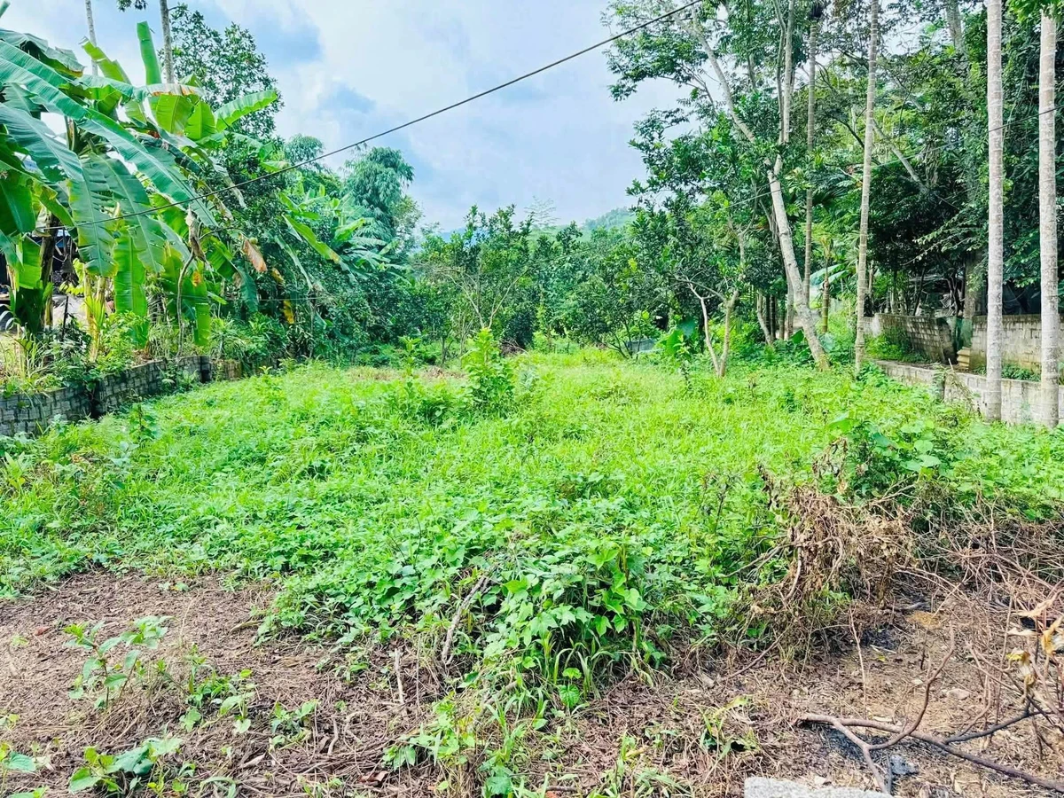 Bán đất 983m² (850m² đất ở) Kim Bôi, giá hơn 1 tỷ - Ảnh 1