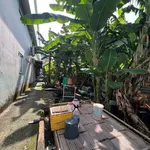 Bán nhà 140m2 (5x27) đường Lê Trọng Tấn, Bình Tân, giá hơn 5 tỷ - Ảnh thu nhỏ 3