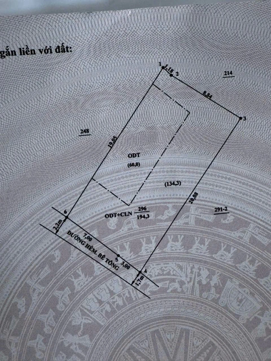 Bán đất Thủ Dầu Một 10x20m (200m²) 2 tỷ 250 triệu - Ảnh thu nhỏ 2