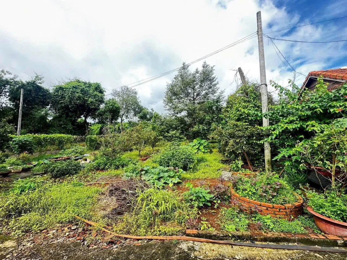 Bán đất Châu Đức 13.000m2 (200m thổ cư) 22 tỷ - Ảnh thu nhỏ 4