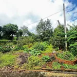 Bán đất Châu Đức 13.000m2 (200m thổ cư) 22 tỷ - Ảnh thu nhỏ 4