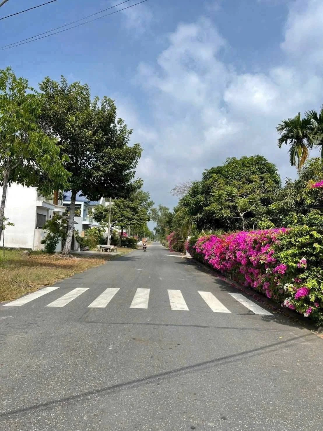 Bán lô đất biệt thự 162m2 đường Phạm Văn Nghị, KDC Barimex Long Tâm, Bà Rịa, giá 3,2 tỷ - Ảnh 1