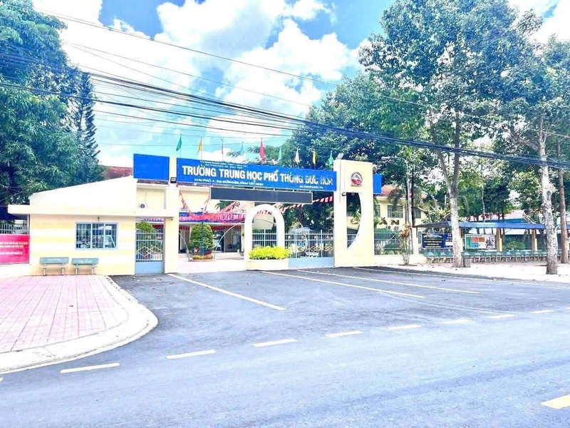 Bán đất thổ cư 4,5x29m mặt tiền bê tông, sổ hồng riêng, giá 1,35 tỷ tại Đức Hòa, Long An
