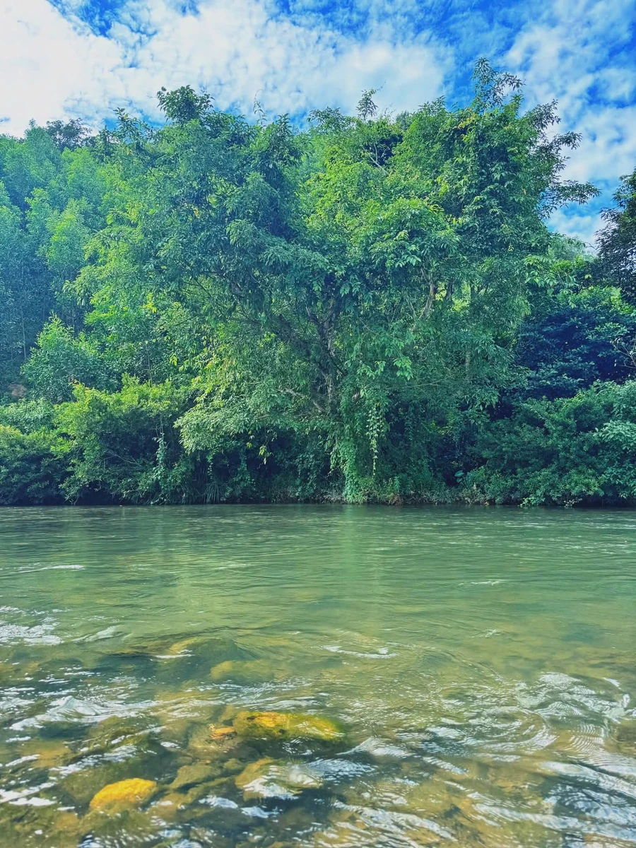 Bán đất 1,7 hecta giáp sông Khế, Khánh Hòa, 750 triệu - Ảnh thu nhỏ 4