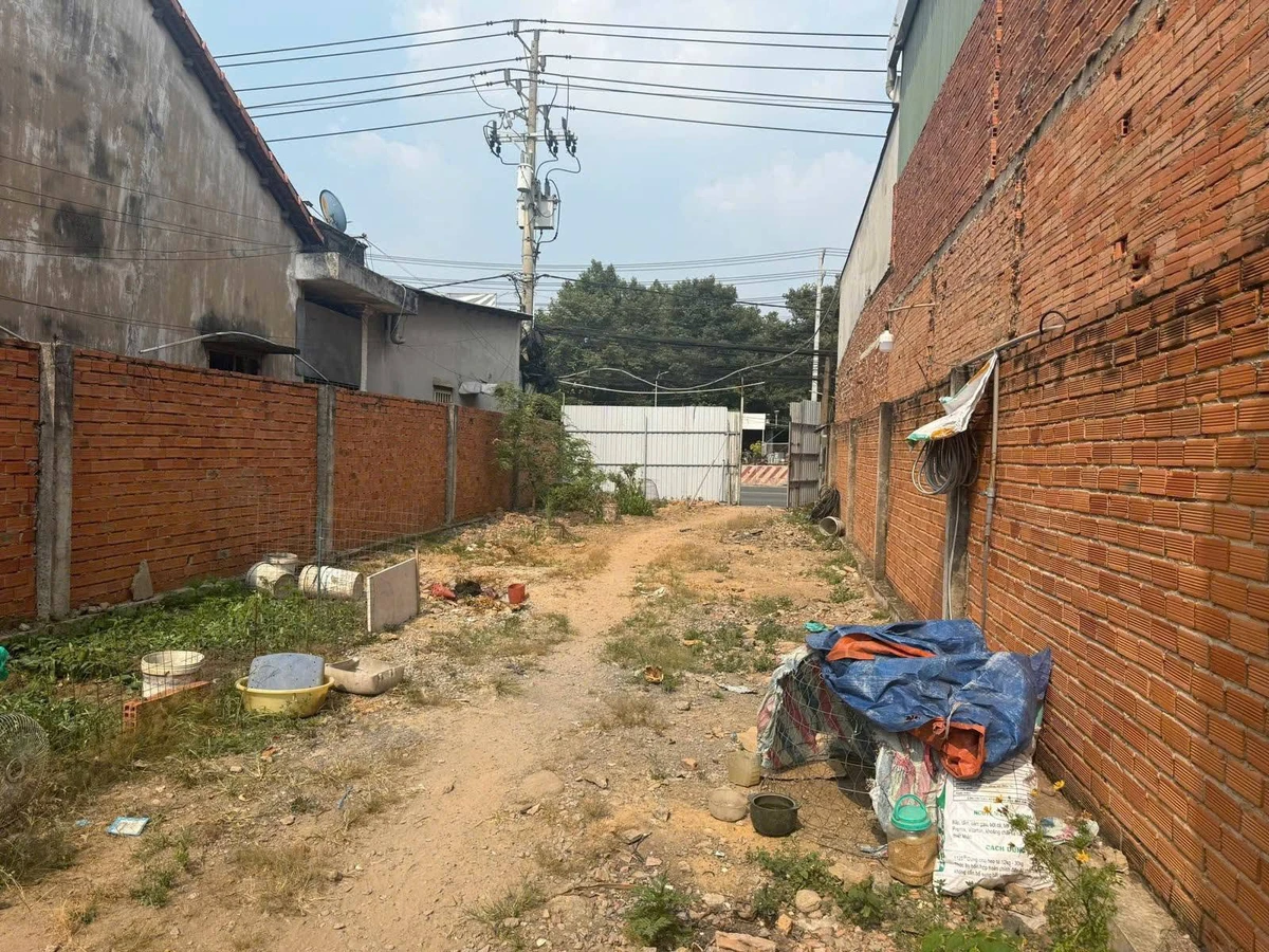 Bán đất mặt tiền Đại Lộ Bình Dương 300,6m² - 11 tỷ - Ảnh thu nhỏ 3