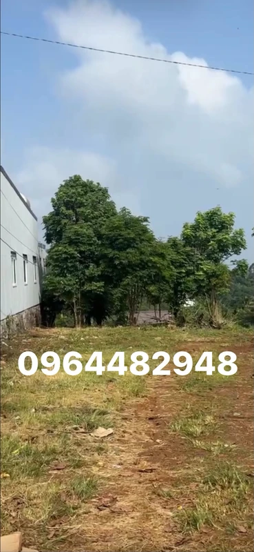 Bán đất 153,8m² giá 195 triệu tại xã Đức Bình, Đắk Lắk hungthai1