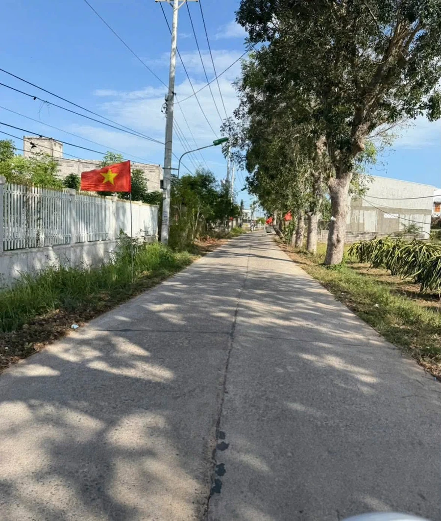 Bán đất thổ cư 130m² Phong Nẫm Phan Thiết 800 triệu - Ảnh thu nhỏ 3
