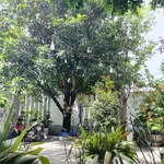Biệt thự mặt tiền Hoà Tiến 200m² giá 6 tỷ - Ảnh thu nhỏ 2