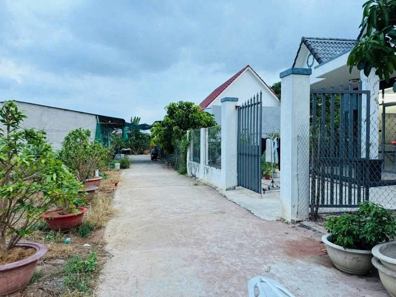 Bán nhanh lô đất 7x16m có 60m2 thổ cư trung tâm Hòa Long, TP Bà Rịa giá 1,29 tỷ - Ảnh 1