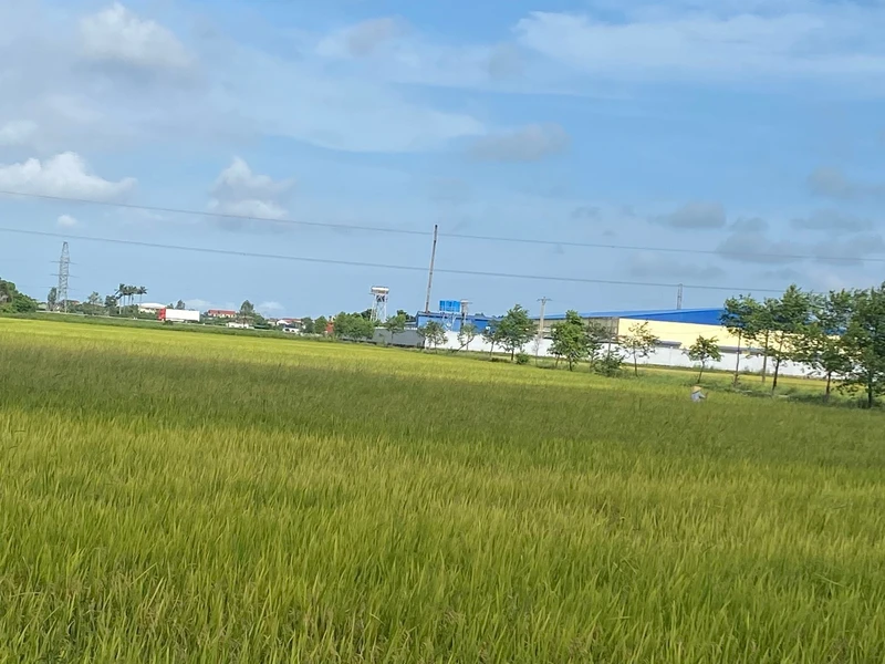 Bán đất xóm Nghi Diên 178m², giá 2 tỷ, Nghệ An
