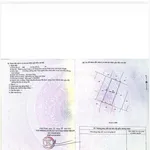 Bán 1552m2 đất vườn có nhà - Lương Cang, Đông Vinh - Phan Rang - 990tr bao sổ - Ảnh thu nhỏ 8