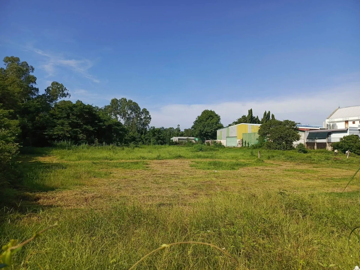 Bán lô đất cây trồng 3000m² Lâm Đồng mặt tiền bê tông - Ảnh thu nhỏ 4