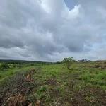 Bán đất nền 2,2 hecta (22.000m²) Đồng Nai giá 2 tỷ - Ảnh thu nhỏ 3